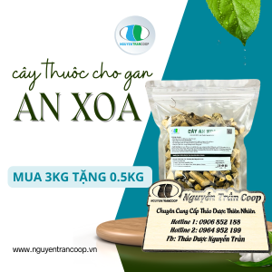 Trà Cây An Xoa
