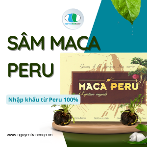( Hộp 500g) Sâm Maca Peru Đen ( Nguyên Củ ) - “Quốc bảo của đất nước Peru”