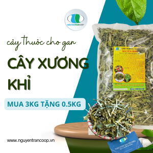 Cây Xương Khỉ