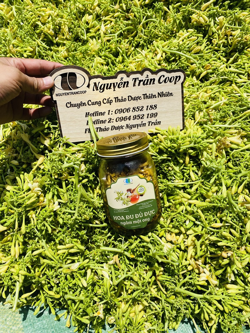 du du duc nguyen tran (5)