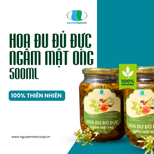 Hoa Đu Đủ Đủ Đực Ngâm Mật Ong 500ml