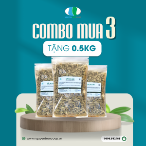 Liệu trình 3kg: Cà Gai Leo mua 3kg Tặng 0.5KG