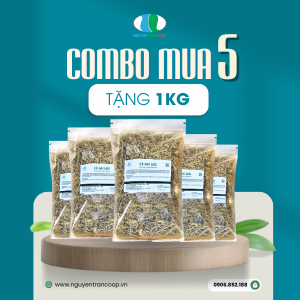Liệu trình 5kg: Cà Gai Leo Mua 5KG Tặng 1KG