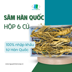 Sâm Tươi Hàn Quốc 6 Củ 1KG