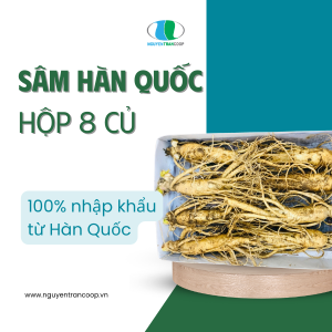 Sâm Tươi Hàn Quốc 8 củ 1 KG