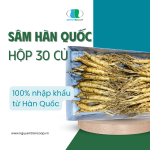Sâm Tươi Hàn Quốc 30 củ 1 KG