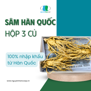 Sâm Tươi Hàn Quốc 3 củ 1 KG