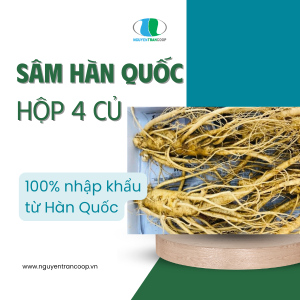Sâm Tươi Hàn Quốc Hộp 4 củ 1 KG