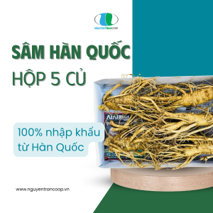 Sâm Tươi Hàn Quốc 5 củ 1 KG