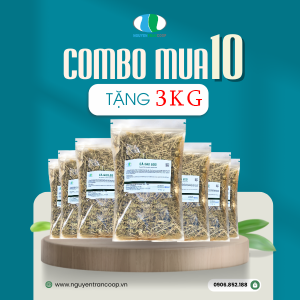 Liệu trình 10kg: Cà Gai Leo Mua 10Kg Tặng 3Kg