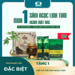 Sâm Ngọc Linh Ngâm Mật Ong ( Hủ 500ml )