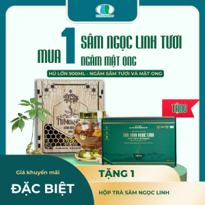 Sâm Ngọc Linh Ngâm Mật Ong ( Hủ 900ML )