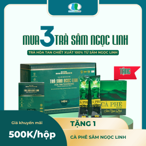 Trà Sâm Ngọc Linh hòa tan ( Hộp 50 gói ) - Combo 3 Hộp [ Tiết kiệm ]