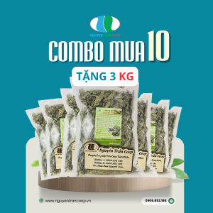 Liệu trình 10kg: Cây Xạ Đen Mua 10Kg Tặng 3Kg
