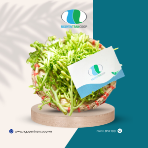 Hoa Đu Đủ Đực Tươi