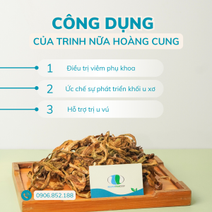 LIỆU TRÌNH 5KG:  CÂY TRINH NỮ HOÀNG CUNG MUA 5 KG TẶNG 1KG