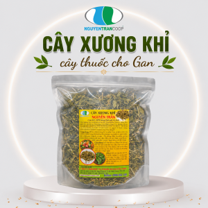 Cây Xương Khỉ