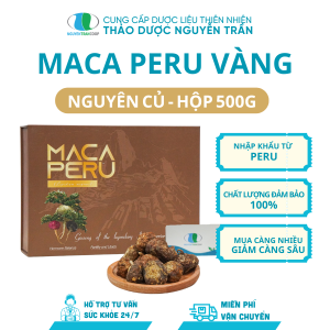 ( Hộp 500g) SÂM MACA PERU VÀNG {NGUYÊN CỦ}