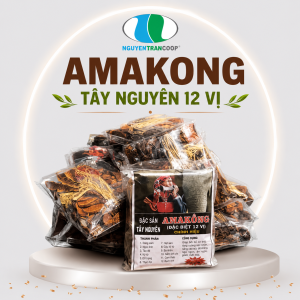 Amakong Chính Gốc Tây Nguyên 12 vị