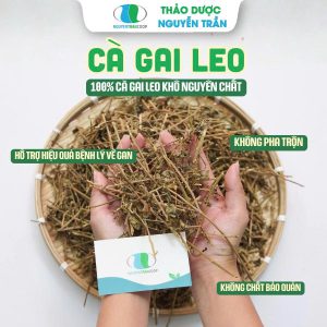 Cà Gai Leo