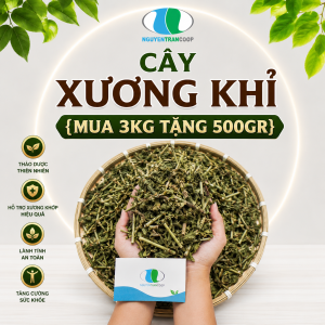 Liệu trình 3kg: Cây Xương Khỉ Mua 3 Tặng 0.5 KG