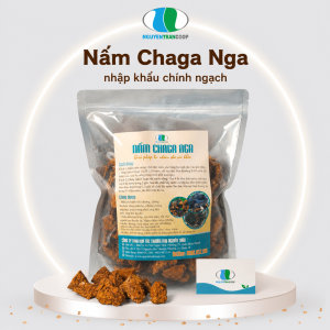 (1Kg) Nấm Chaga Nga {Nhập khẩu chính ngạch}