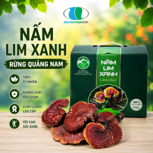 (1Kg) Nấm Lim Xanh Rừng Quảng Nam
