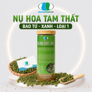 Nụ Hoa Tam Thất "Bao Tử" Nguyên Chất - Hủ 500g