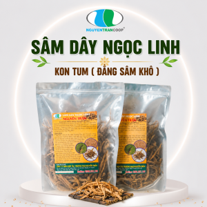 (1kg) Sâm Dây Ngọc Linh Kon Tum ( Đẳng Sâm )