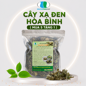 Cây Xạ Đen Mua 5Kg Tặng 1Kg