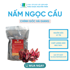 Nấm Ngọc Cẩu Hà Giang - Khô 1kg