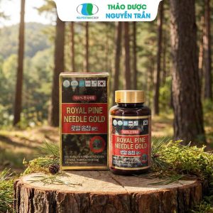 Tinh Dầu Thông Đỏ Royal Pine NEEDLE GOLD ( Hộp 100 viên ) Nội Địa Hàn Quốc