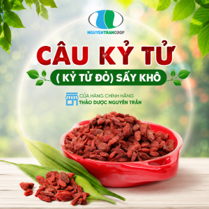 Câu Kỷ Tử ( Kỷ Tử Đỏ) Sấy Khô