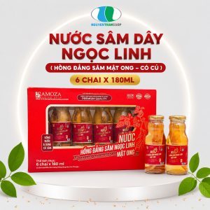 Nước Sâm Dây Ngọc Linh ( Hồng Đẳng Sâm Mật Ong - Có Củ ) 6 chai x 180ml