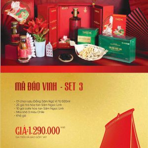 Quà tết 2026 Sâm Ngọc Linh - SET3 Mã Đáo Vinh | Quà Tặng Doanh Nghiệp