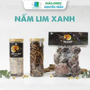 Nấm  Lim Xanh Rừng Quảng Nam